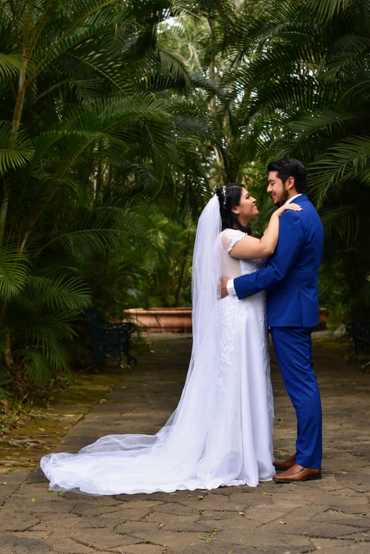 Bodas